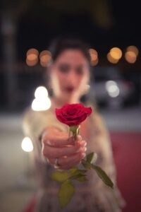 Selective Focus Photo of Red Rose