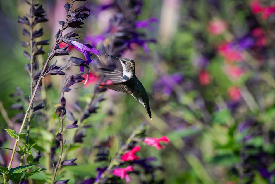 Hummingbird Hovering Near Vibrant Flowers